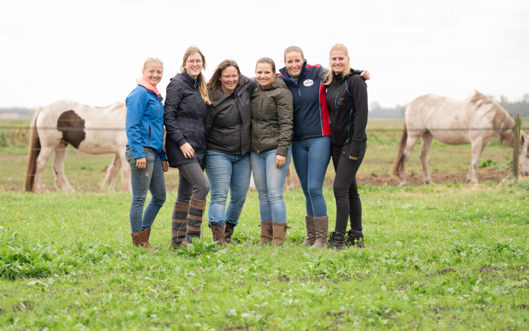 – Ideeën uitwisselen –