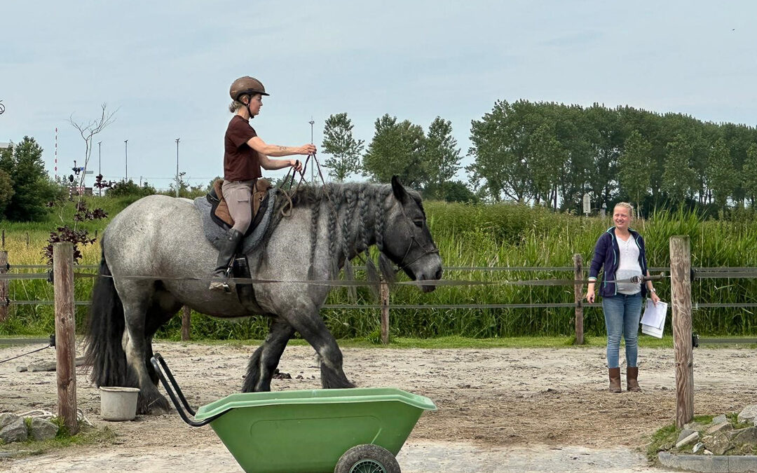 – Koude meisjes met warme gevoelens –